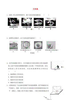 江蘇省鹽城市大豐市萬盈第二中學(xué)2020屆中考物理 物光現(xiàn)象專項復(fù)習(xí)（無答案）