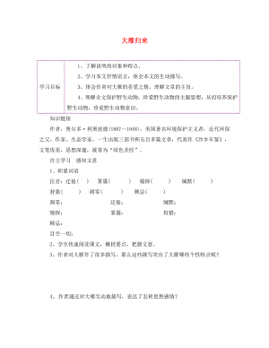 陜西省延安市延川縣第二中學(xué)八年級(jí)語(yǔ)文下冊(cè) 14 大雁歸來(lái)學(xué)案（無(wú)答案） 新人教版