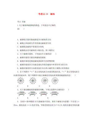 2020高考物理總復(fù)習(xí) 考查點(diǎn)19 磁場(chǎng)練習(xí)（無(wú)答案）