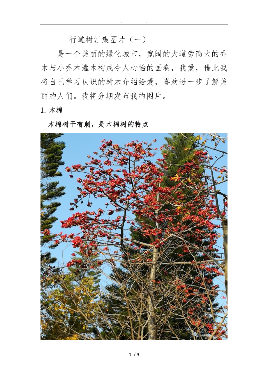 深圳行道树汇集一_第1页
