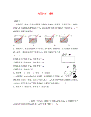 江蘇省高郵市2020學(xué)年八年級物理上冊 第四章《光的折射 透鏡》寒假提優(yōu)（無答案）（新版）蘇科版