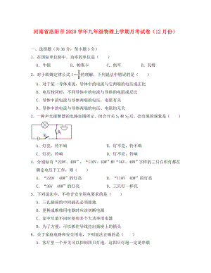 河南省洛阳市2020学年九年级物理上学期月考试卷（12月份）（含解析）