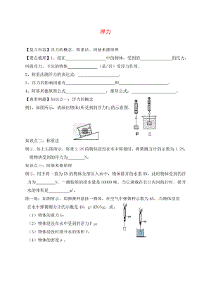 江蘇省鎮(zhèn)江市丹徒區(qū)中考物理復(fù)習(xí) 浮力學(xué)案（無答案）（通用）