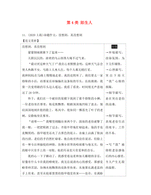 湖南省2020中考語(yǔ)文 第四部分 作文 專題三 優(yōu)秀范文賞析 第4類 陌生人 語(yǔ)文版