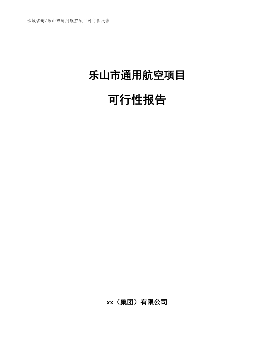 乐山市通用航空项目可行性报告范文模板_第1页