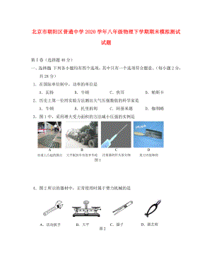 北京市朝阳区普通中学2020学年八年级物理下学期期末模拟测试试题（无答案） 新人教版