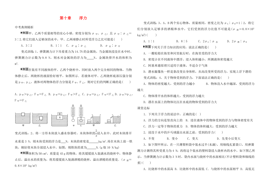 河南省2020年中考物理第一輪復(fù)習(xí) 第十章 浮力（無答案）_第1頁