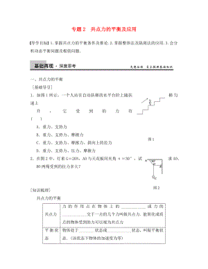 【步步高】2020年高考物理大一輪 第二章 專(zhuān)題2 共點(diǎn)力的平衡及應(yīng)用 新人教版必修1