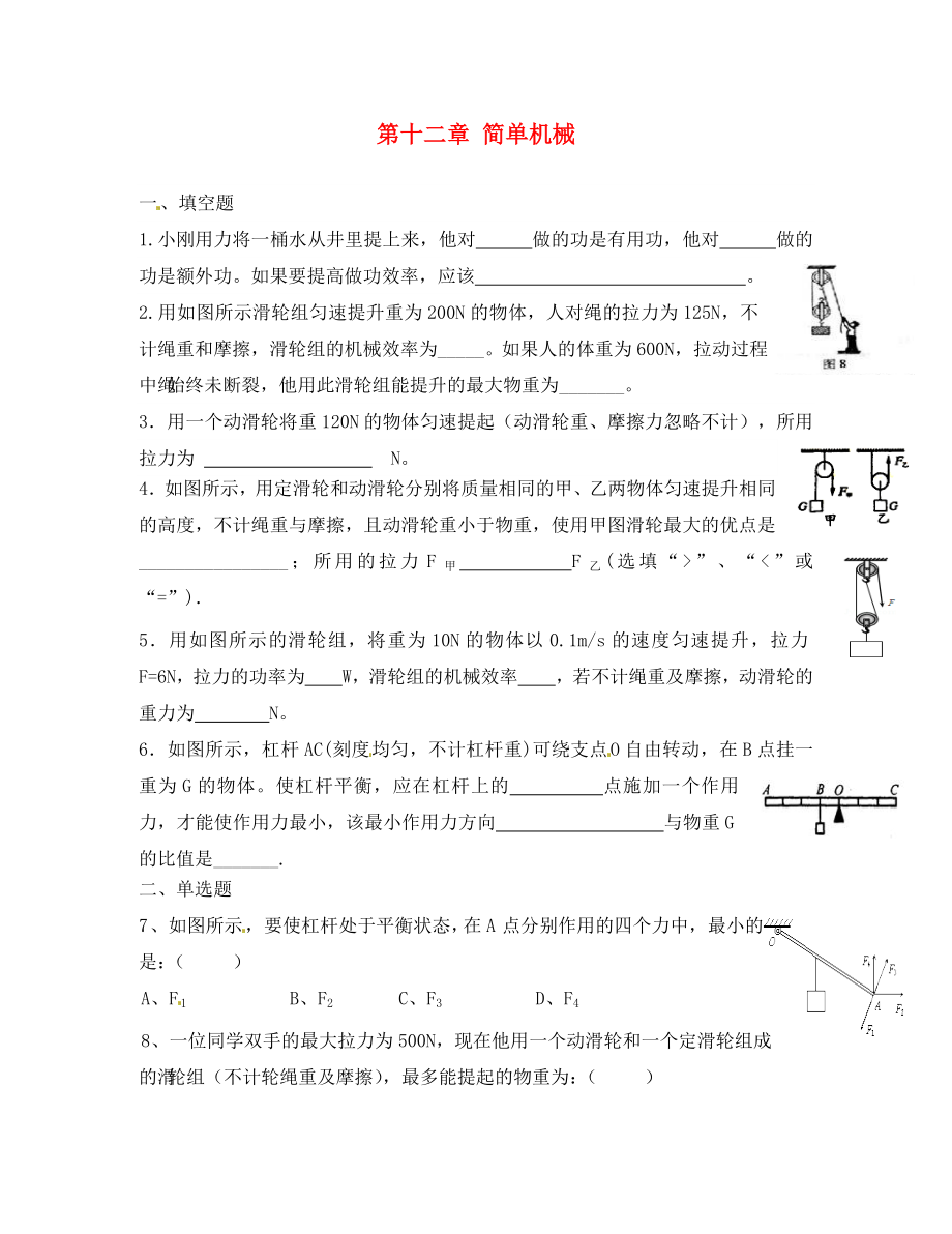 湖北省北大附中武漢為明實驗學(xué)校八年級物理下冊 第十二章 簡單機械測試題（無答案）（新版）新人教版_第1頁