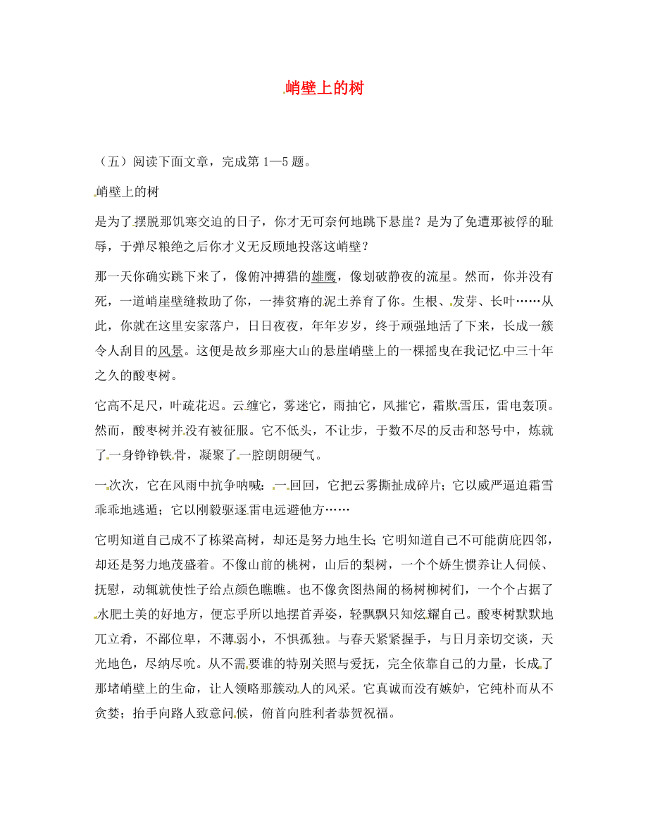 黑龍江省哈爾濱市第一零九中學中考語文閱讀題復習 峭壁上的樹（無答案）_第1頁