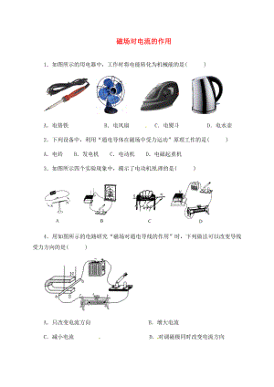 江蘇省泗洪縣中考物理午練復習試題 磁場對電流的作用（無答案）（通用）