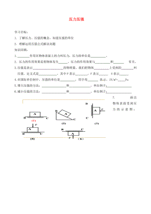 北京市延慶縣十一學校中考物理專題復習 壓力壓強學案 （無答案）