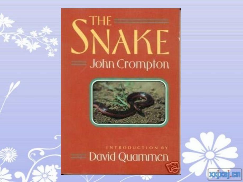新概念四Lesson-20-Snake-Poison_第1页