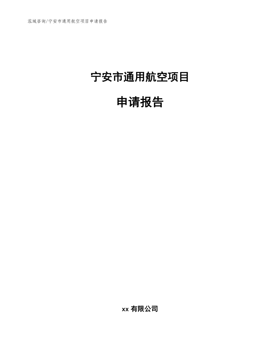 宁安市通用航空项目申请报告（参考范文）_第1页