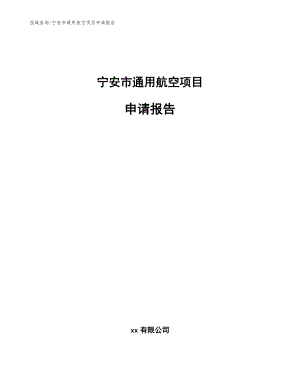 宁安市通用航空项目申请报告（参考范文）
