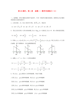 （全國(guó)通用）2020年高三數(shù)學(xué) 第20課時(shí) 第二章 函數(shù) 鞏固練習(xí)專題復(fù)習(xí)教案