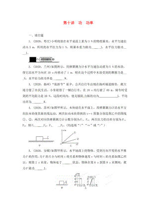 陜西省龍鳳培訓(xùn)學(xué)校2020屆中考物理專題復(fù)習(xí) 第十講 功 功率（無(wú)答案）