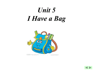 陕旅版小学英语三年级上册《Unit5Ihaveabag》课件