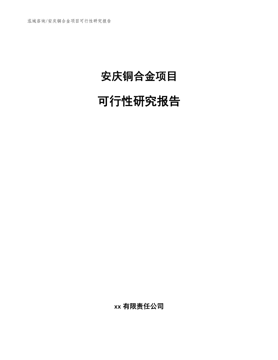 安庆铜合金项目可行性研究报告（模板）_第1页