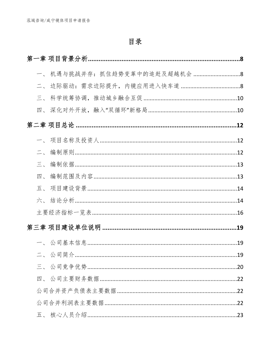 咸宁镜体项目申请报告模板_第1页