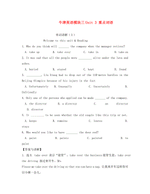 江蘇省姜堰市張甸中學(xué)高三英語(yǔ)一輪復(fù)習(xí) Module 3 Unit 3 重點(diǎn)詞語(yǔ)