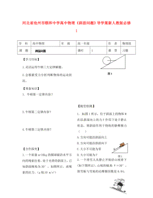 河北省滄州市頤和中學(xué)高中物理《斜面問題》導(dǎo)學(xué)案 新人教版必修1（通用）