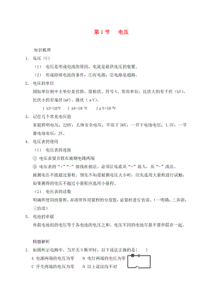 （貴陽專版）2020年秋九年級物理全冊 第14章 了解電路 第5節(jié) 測量電壓 第1課時 電壓素材 （新版）滬科版