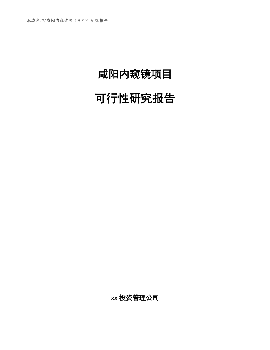 咸阳内窥镜项目可行性研究报告_模板范文_第1页