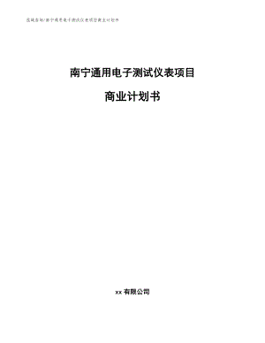 南宁通用电子测试仪表项目商业计划书
