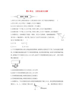 湖北省2020屆高考物理一輪復(fù)習(xí) 6《力的合成與分解》試題（通用）