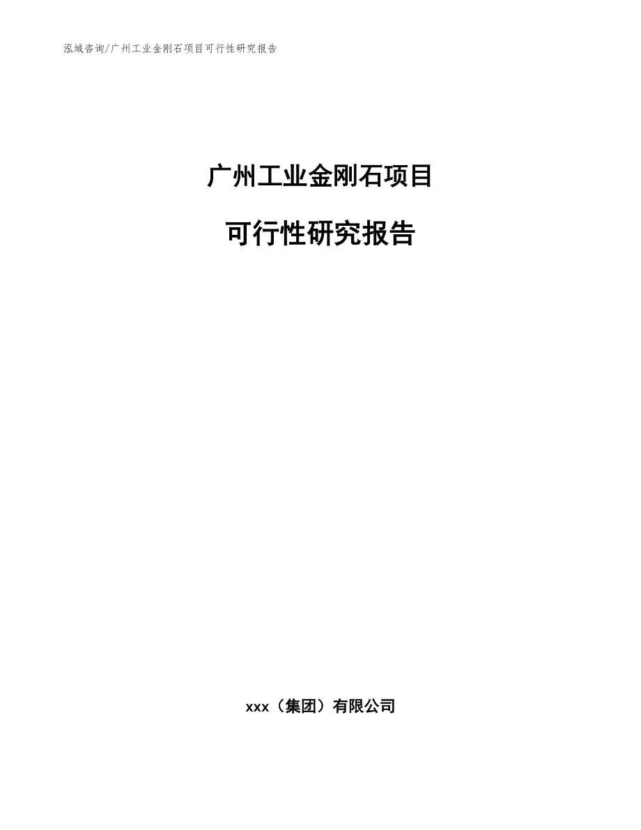 广州工业金刚石项目可行性研究报告_第1页