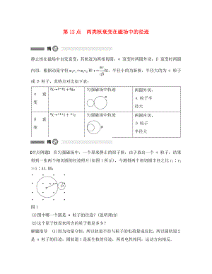 高中物理 模塊要點回眸 第12點 兩類核衰變在磁場中的徑跡素材 教科版選修3-5（通用）