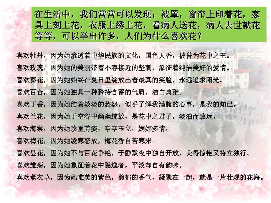 在生活中我们常常可以发现被罩窗帘上印着花家课件_第1页