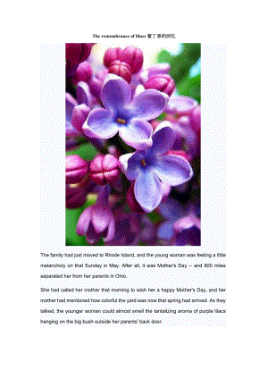 紫丁香的回忆