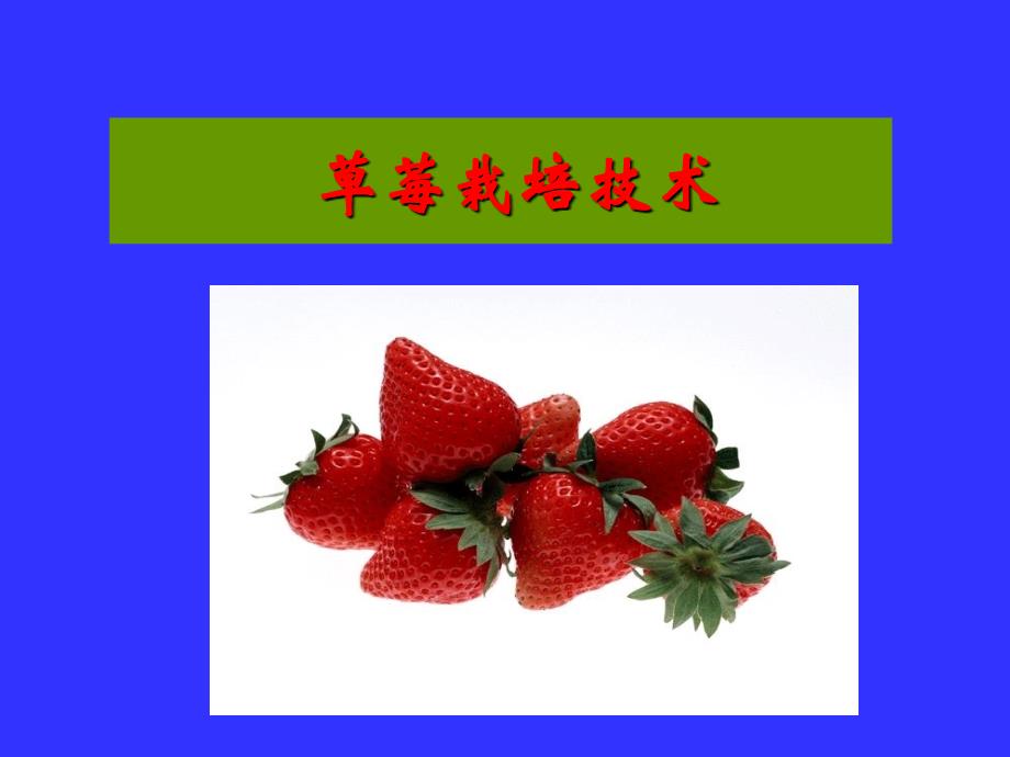 草莓高产栽培技术_第1页