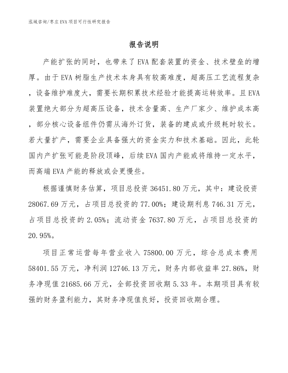 枣庄EVA项目可行性研究报告_第1页