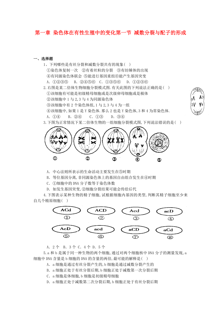 高中生物《减数分裂与配子形成》同步练习3 中图版必修2_第1页