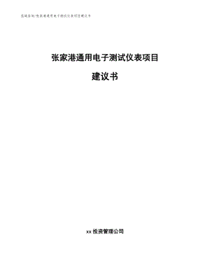 张家港通用电子测试仪表项目建议书_范文模板