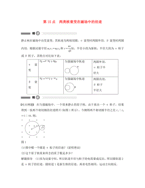 高中物理 模塊要點回眸 第15點 兩類核衰變在磁場中的徑跡素材 新人教版選修3-5（通用）