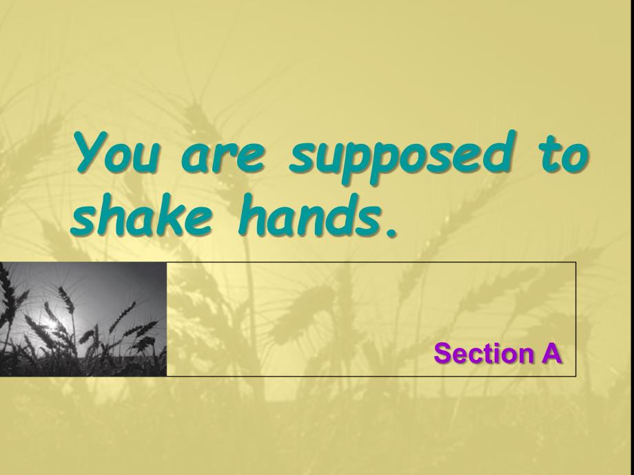 You-are-supposed-to-shake-hands课件1_第1页