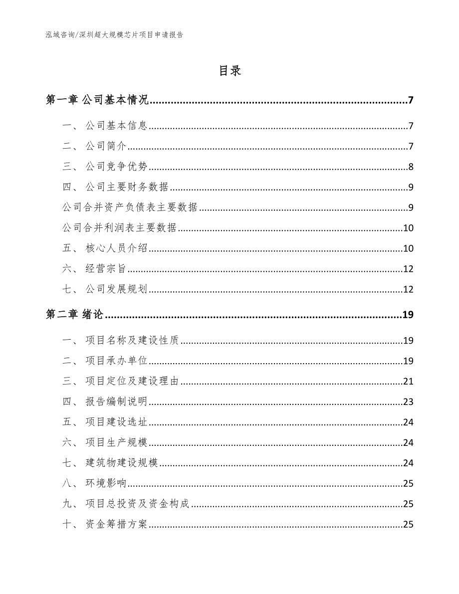 深圳超大规模芯片项目申请报告_模板_第1页