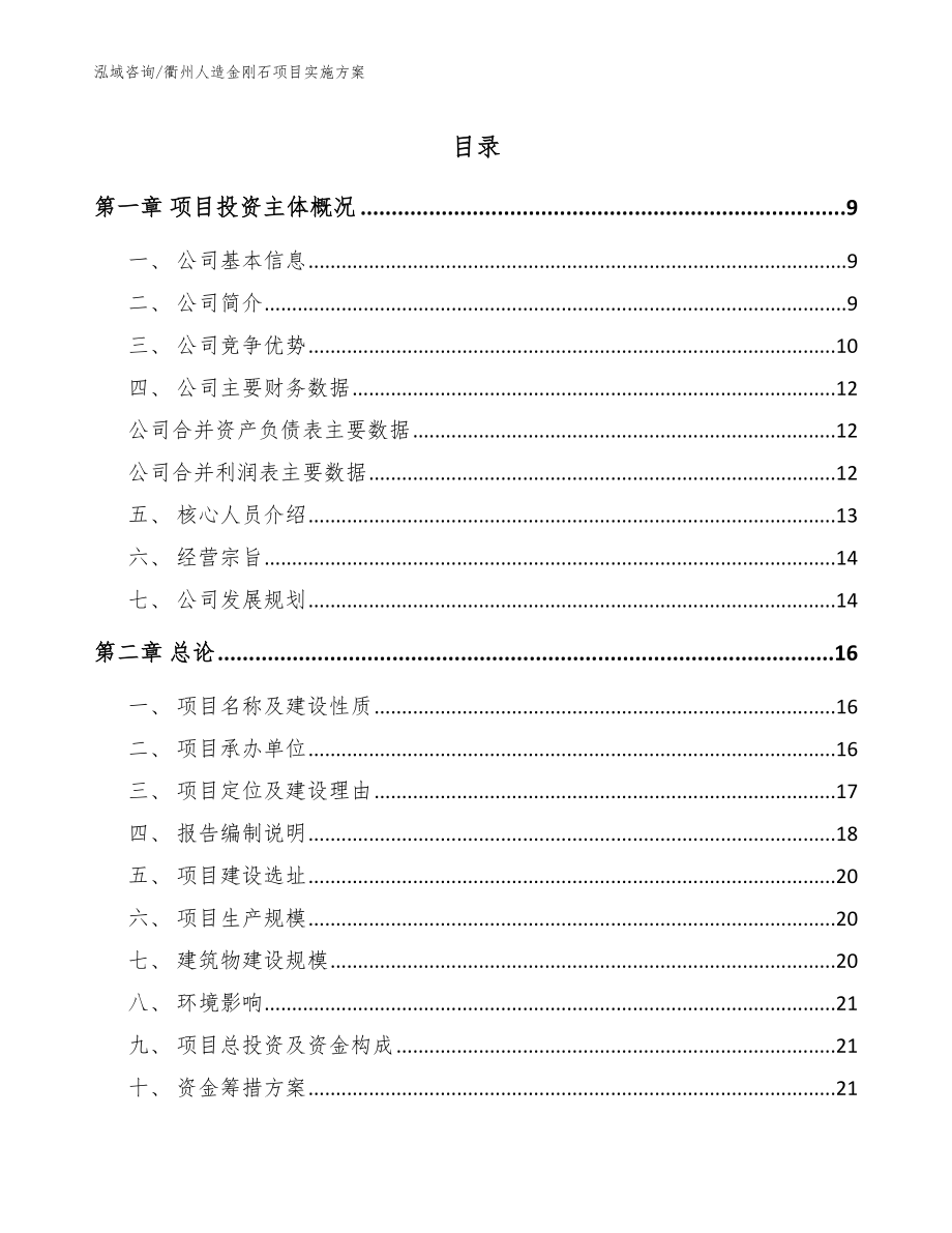 衢州人造金刚石项目实施方案_第1页