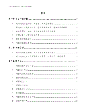 芜湖动力电池项目申请报告（模板范文）
