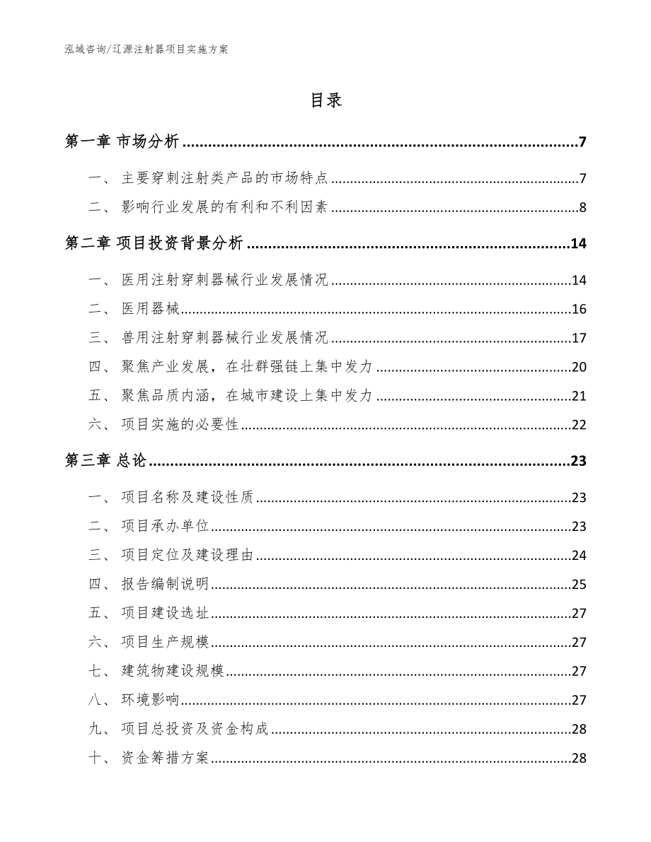 辽源注射器项目实施方案范文_第1页