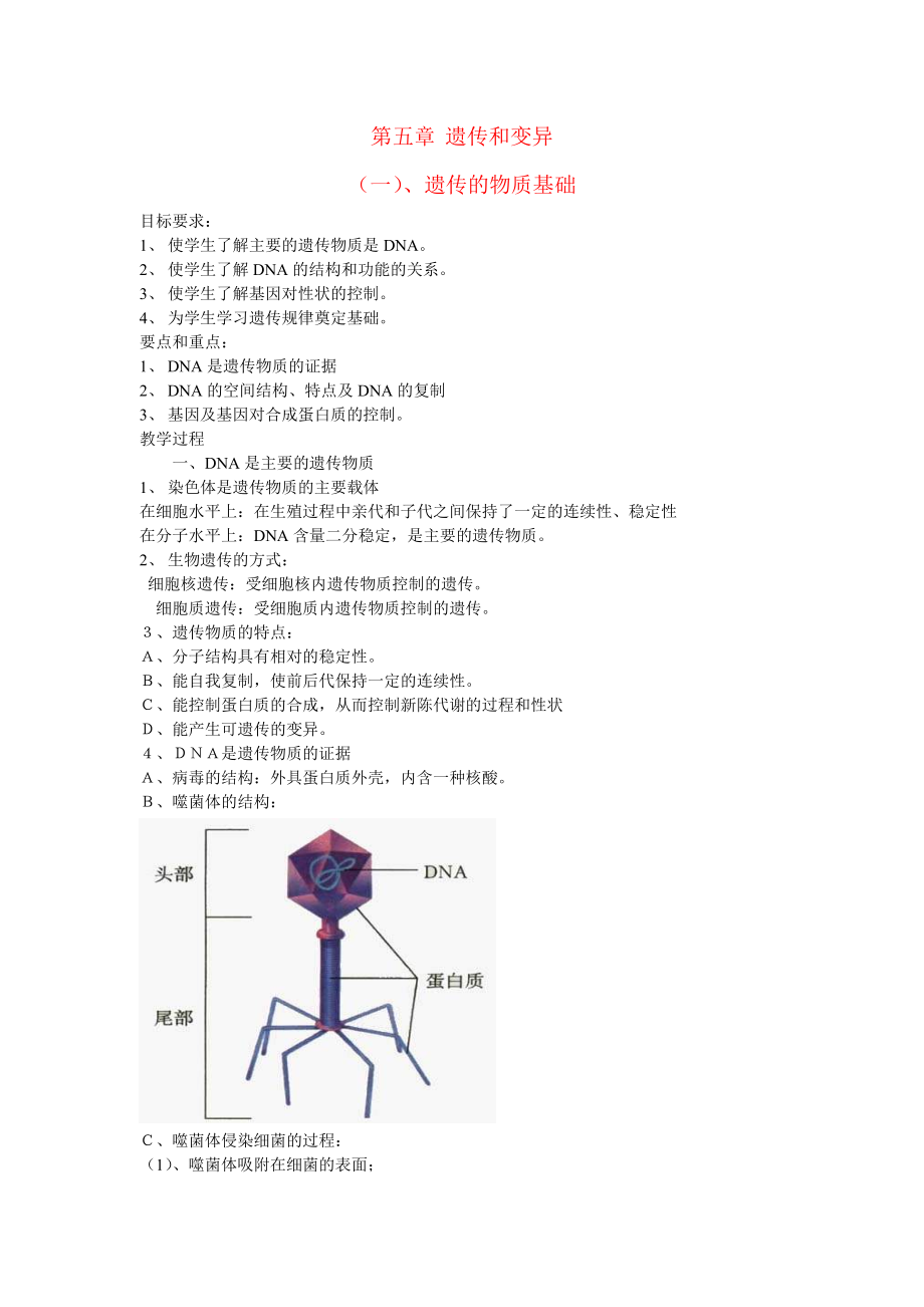 遺傳和變異 2_第1頁