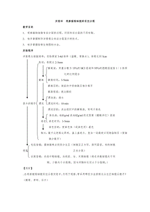 2-2實驗三觀察植物細胞的有絲分裂