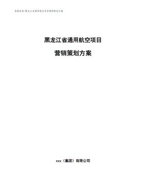 黑龙江省通用航空项目营销策划方案_参考范文
