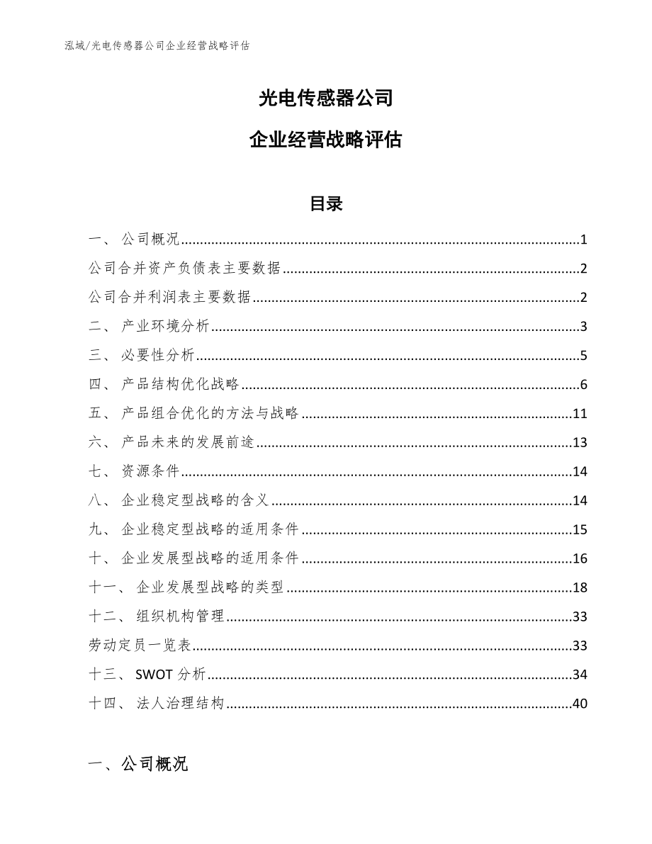 光电传感器公司企业经营战略评估_第1页