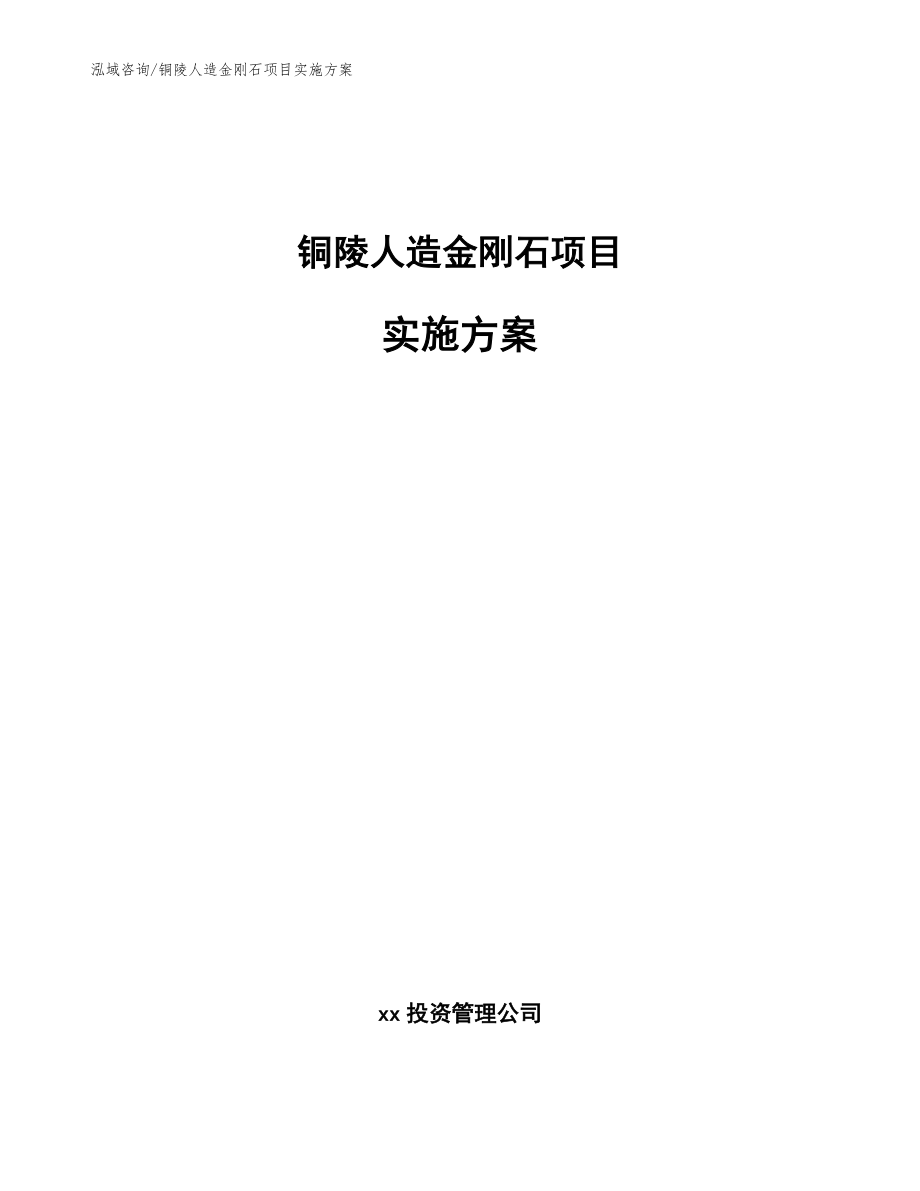 铜陵人造金刚石项目实施方案【模板范本】_第1页