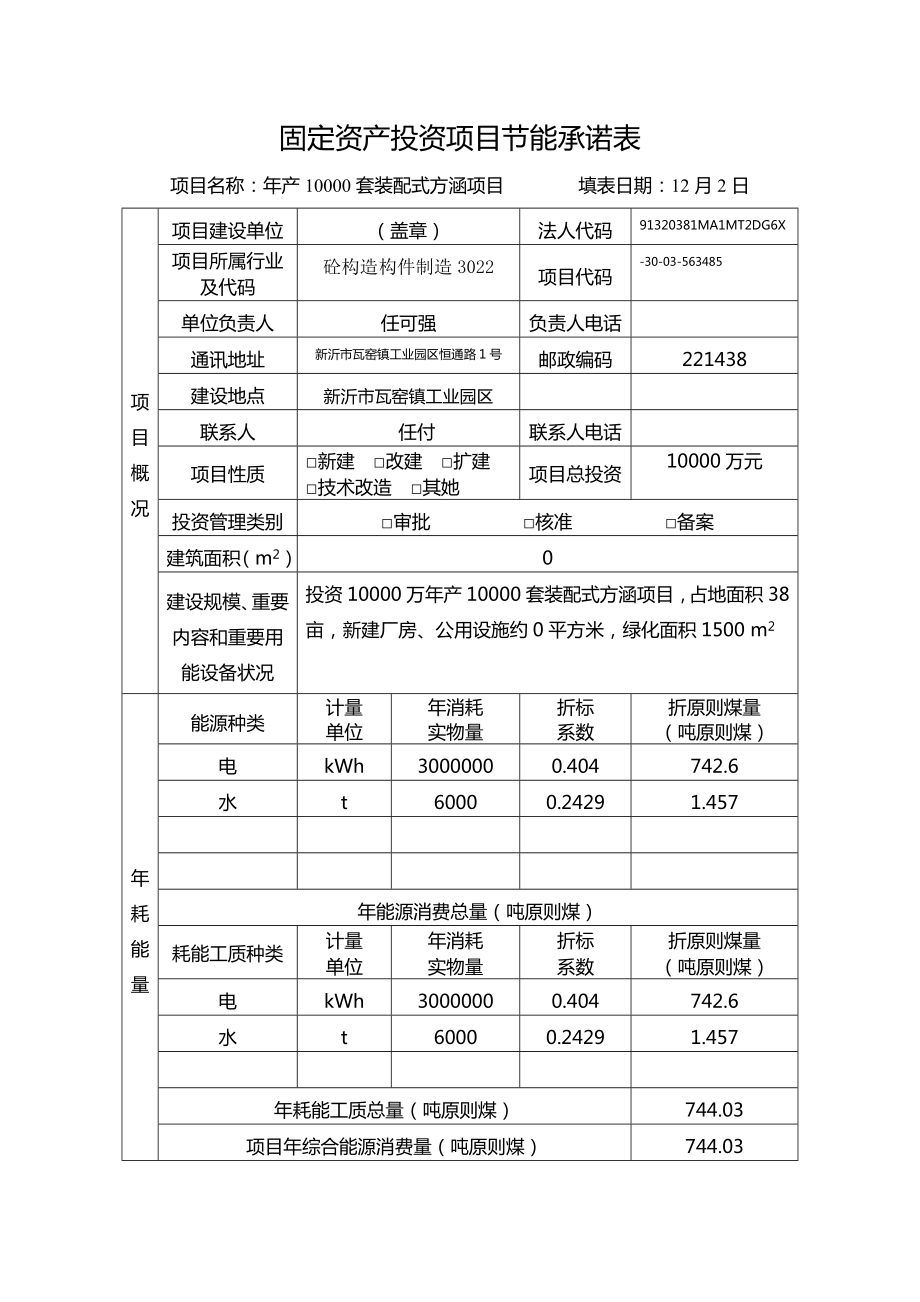 固定资产投资专项项目节能承诺表_第1页